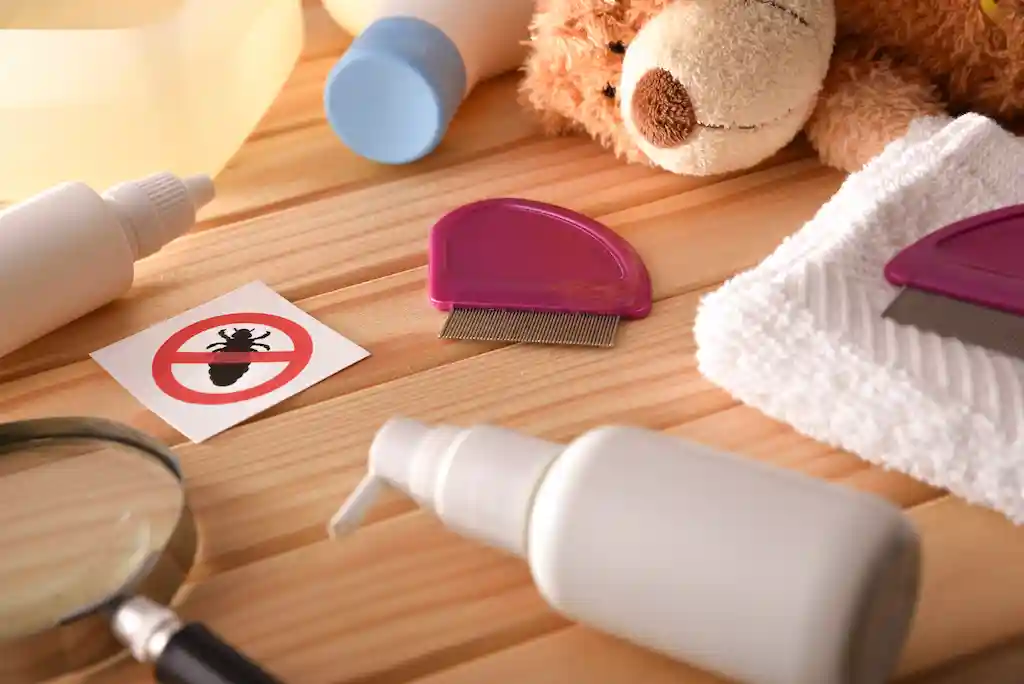 Mild vs Severe Lice Infestation LiceDoctors